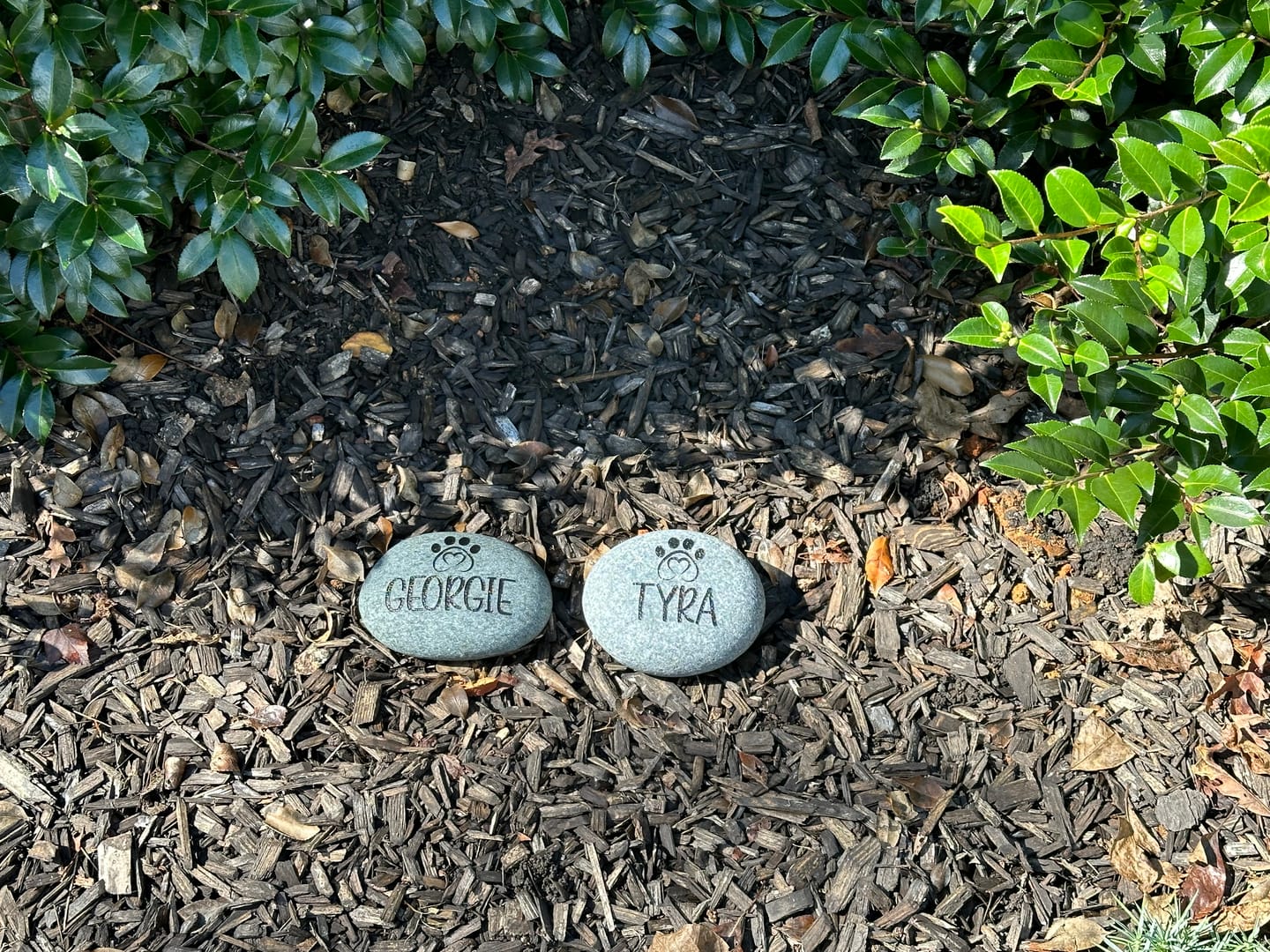 Customer photo review of Dog headstones Grave Marker Custom Engraved Pet Memorial River Rock Stone Heart Paw Print