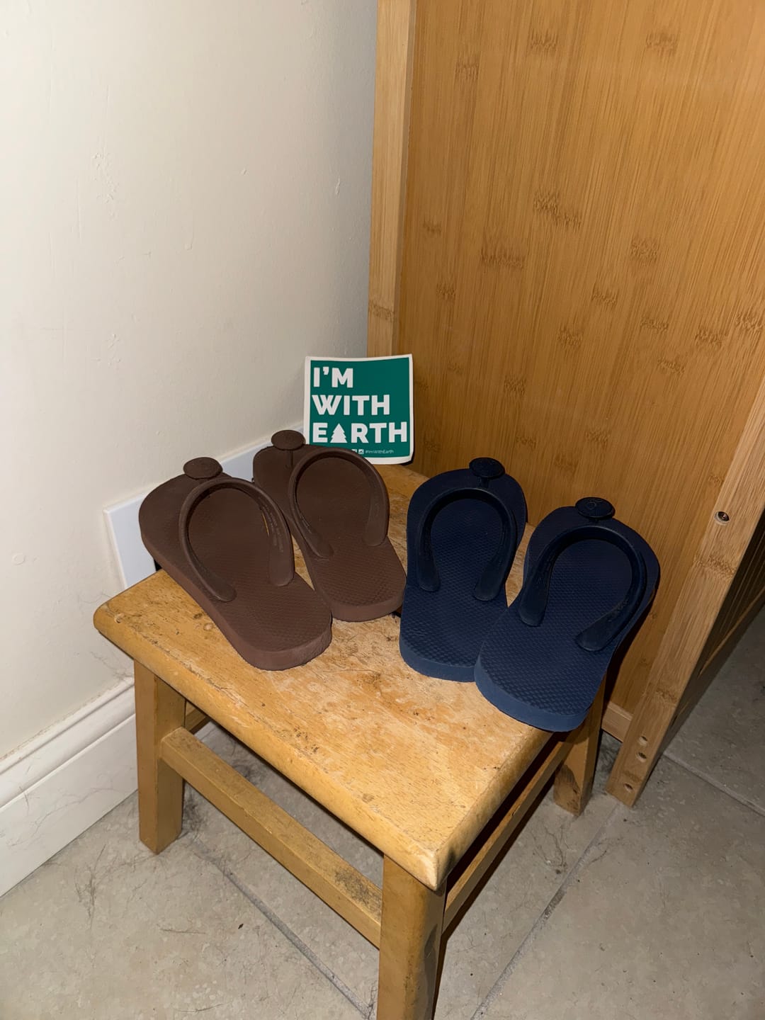 Customer photo review of I'm With Earth Sticker