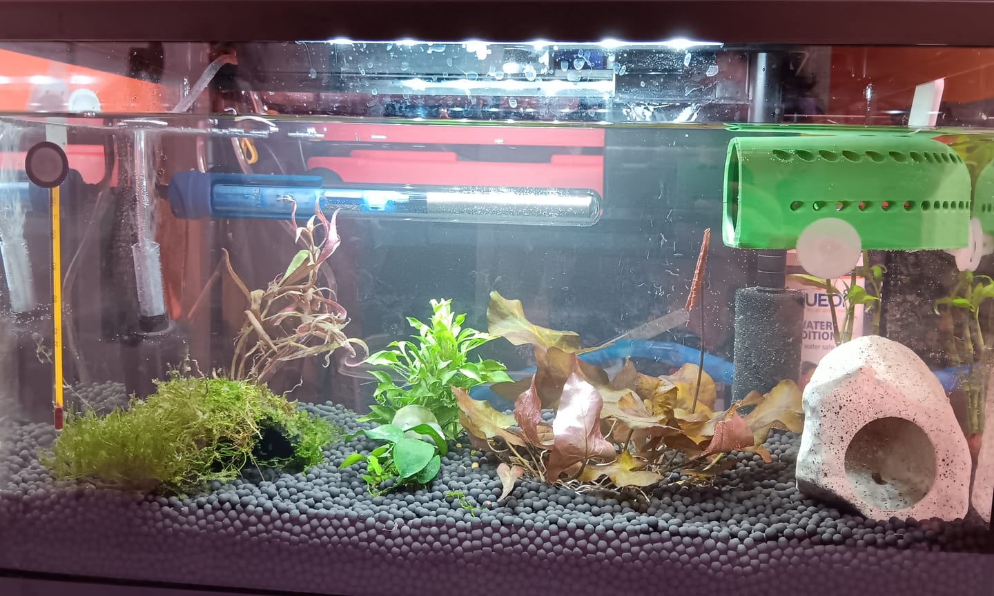 Customer photo review of Scuba Contactless Heaters