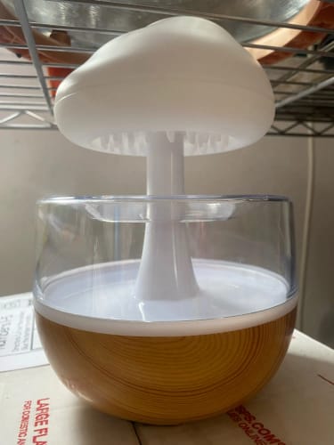 Customer photo review of Mushroom Rain Cloud Humidifier Colorful Raindrop
