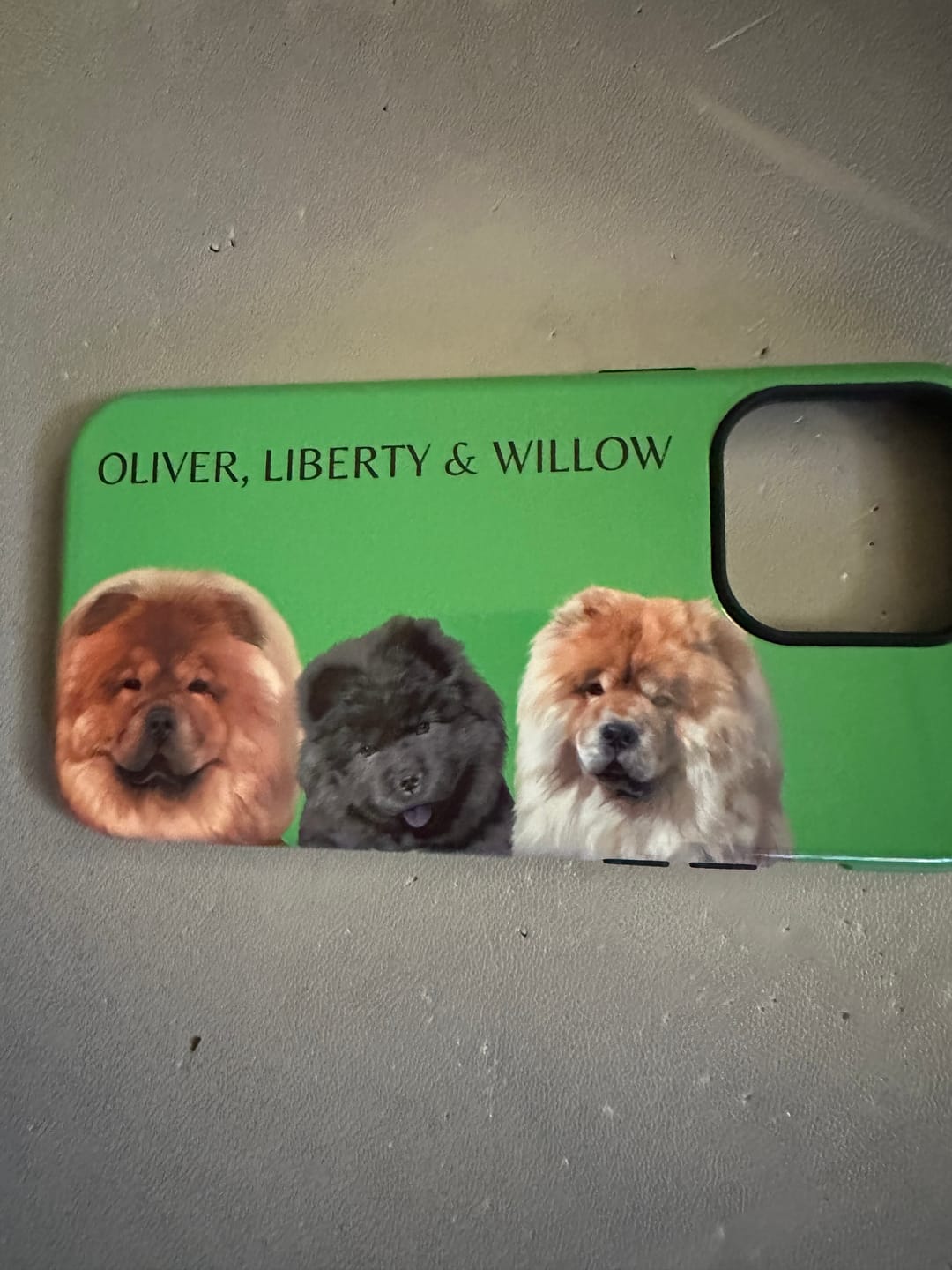 Customer photo review of Custom Pet Phone Case