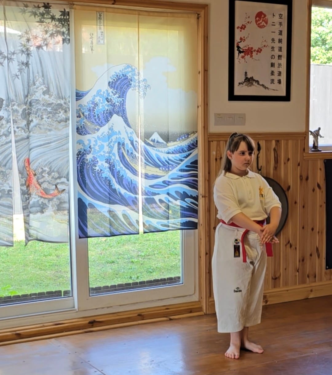 Customer photo review of Japanese Noren Great Wave