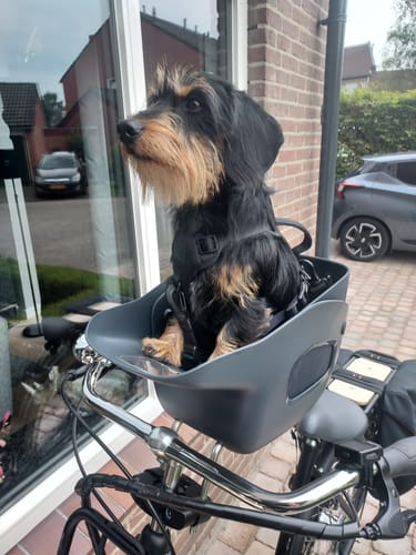 Customer photo review of Kvisp Dog Bike Carrier
