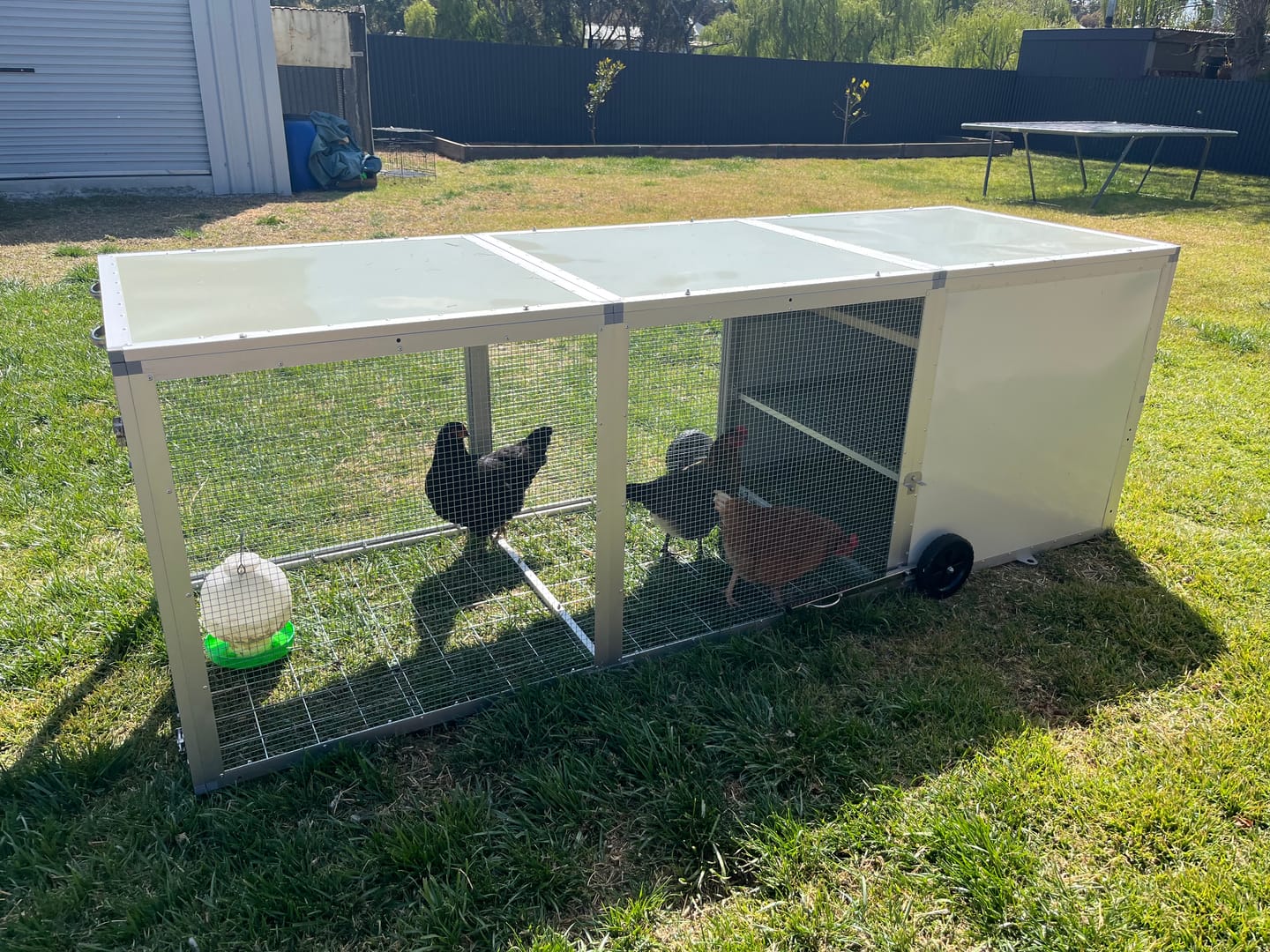 Customer photo review of Galvanised Mesh Floor for Chicken Coop