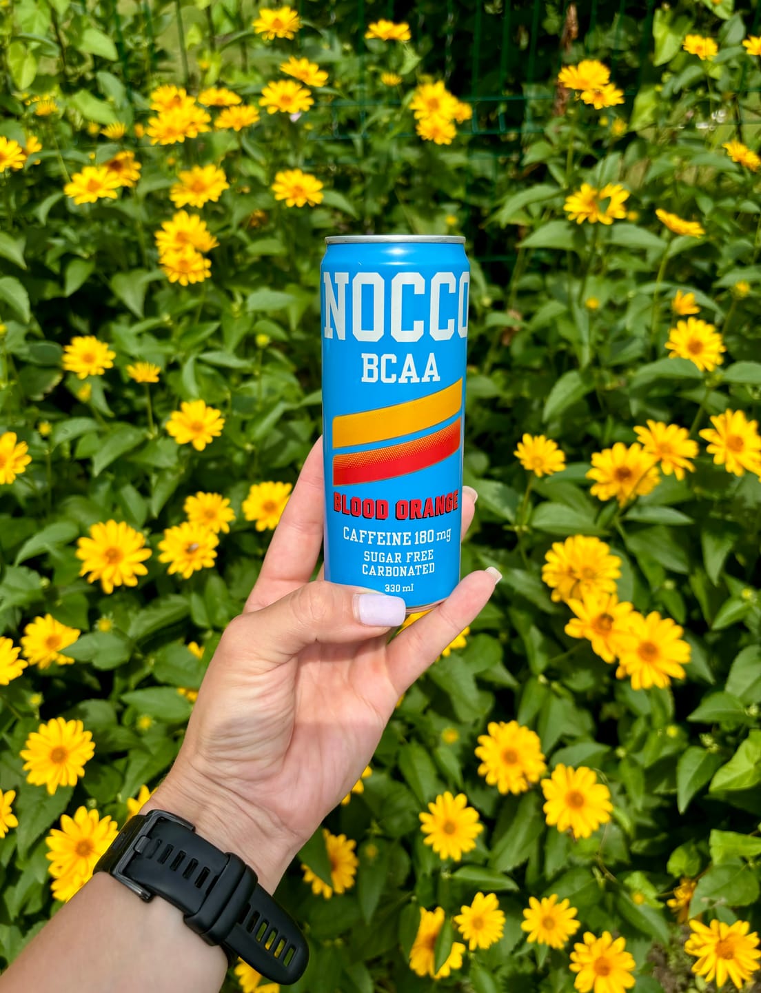 Customer photo review of Nocco BCAA dzēriens (24 x 330 ml)