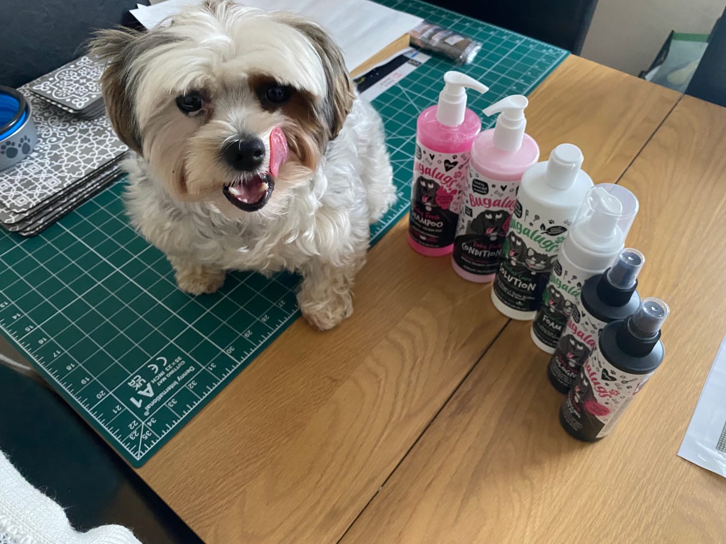 Customer photo review of Baby Fresh Dog Shampoo