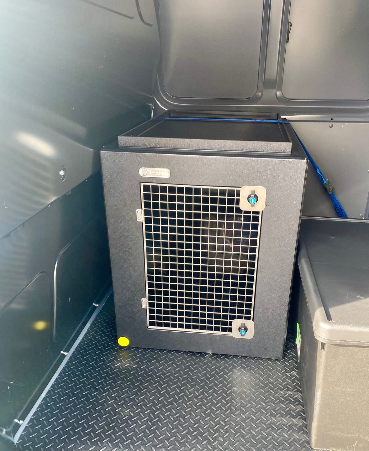 Customer photo review of DT Box Dog Car Travel Crate - The DT 600