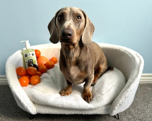 Customer photo review of Zingy 2 in 1 Shampoo + Conditioner with Grapefruit & Orange