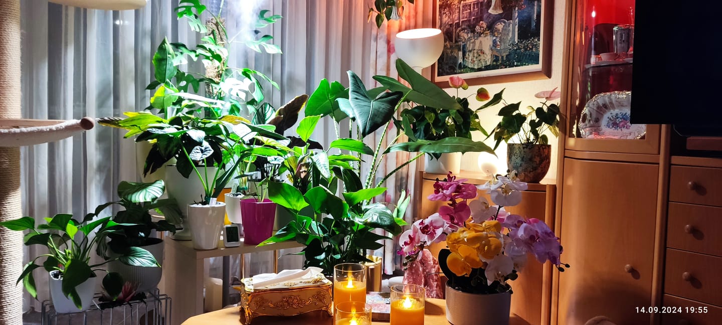 Customer photo review of HPE - Hesi Houseplant Elixir