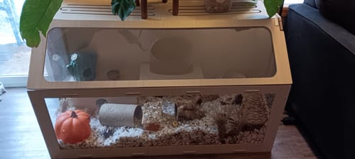 Customer photo review of Niteangel Vista Hamster Cage W/ Oblique Opening - MDF Aspen Small Animal Cage for Syrian Dwarf Hamsters Degus Mice or Other Similar-Sized Pets