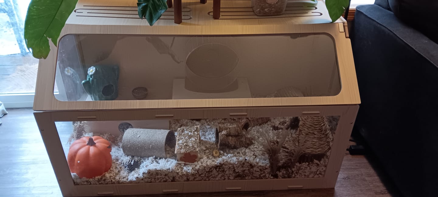 Customer photo review of Niteangel Vista Hamster Cage W/ Oblique Opening - MDF Aspen Small Animal Cage for Syrian Dwarf Hamsters Degus Mice or Other Similar-Sized Pets