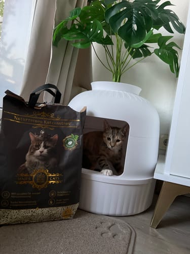 Customer photo review of Naturreines Katzenstreu