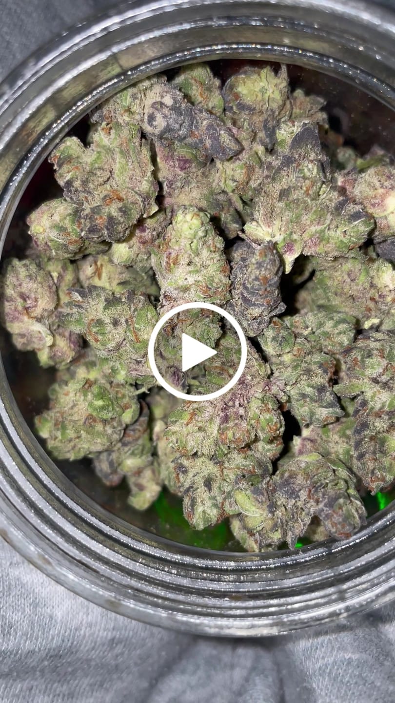 Customer video review of Exotic Micros