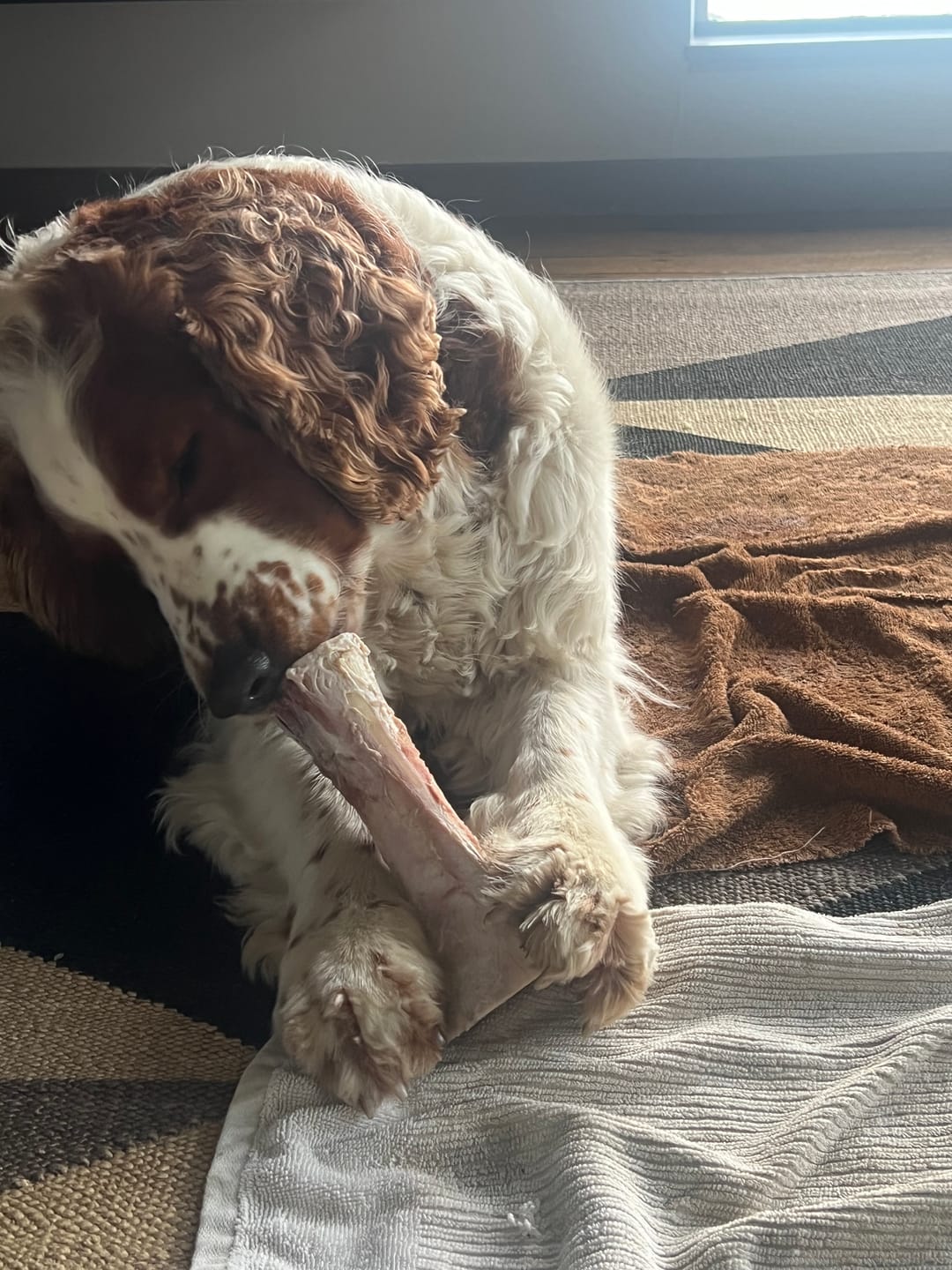 Customer photo review of Raw Meaty Marrow Bones