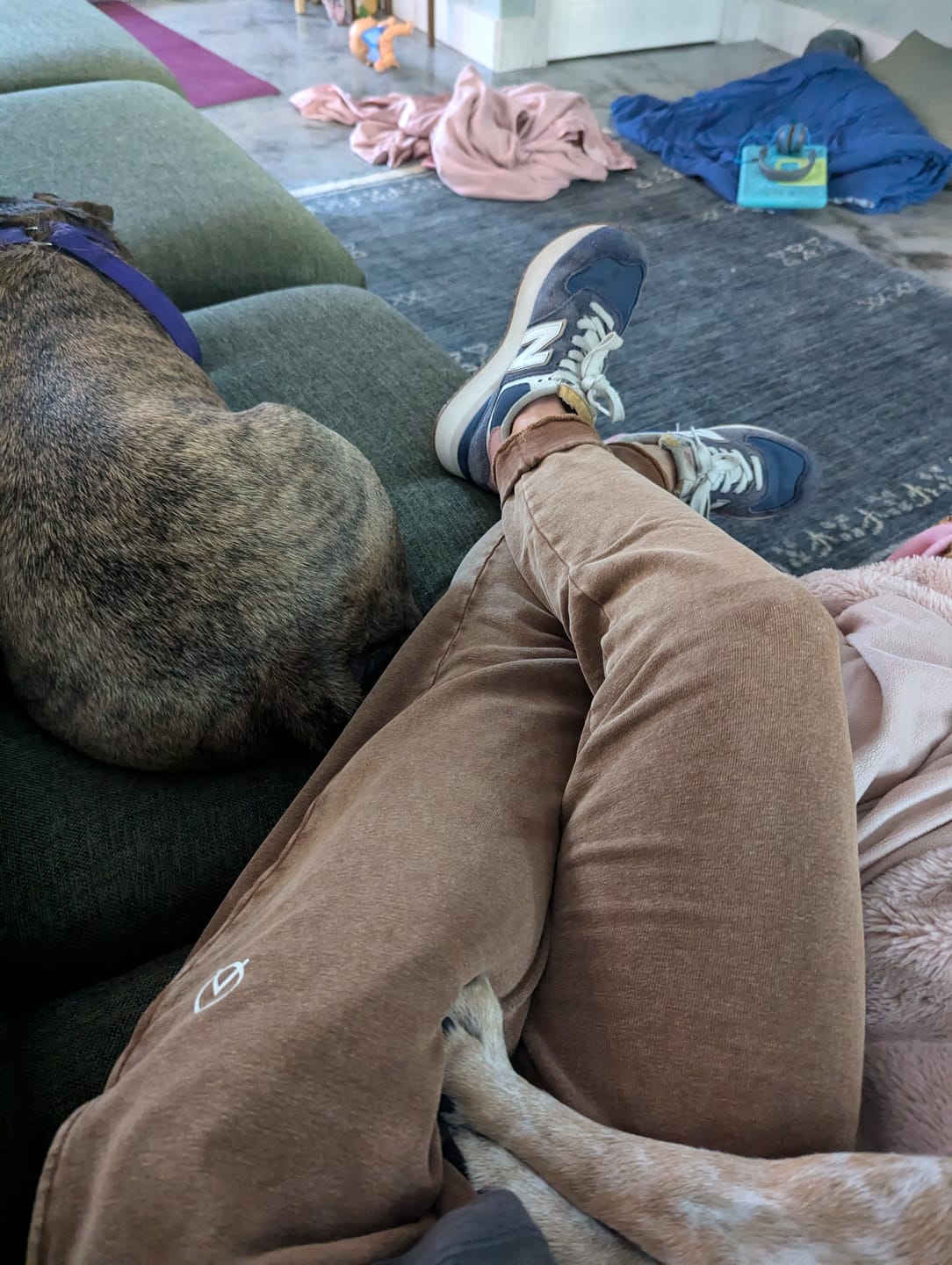 Customer photo review of Hemp Jogger 2.0