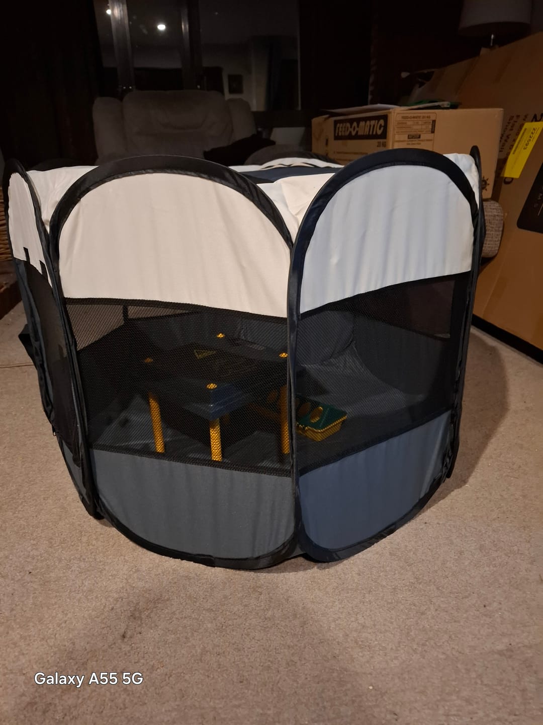 Customer photo review of Chick Brooder Combo WP25 #1