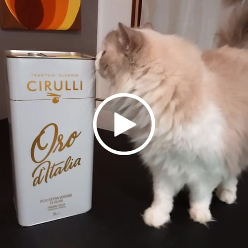 Customer video review of 1 lattina di olio extravergine di oliva • 5 Litri