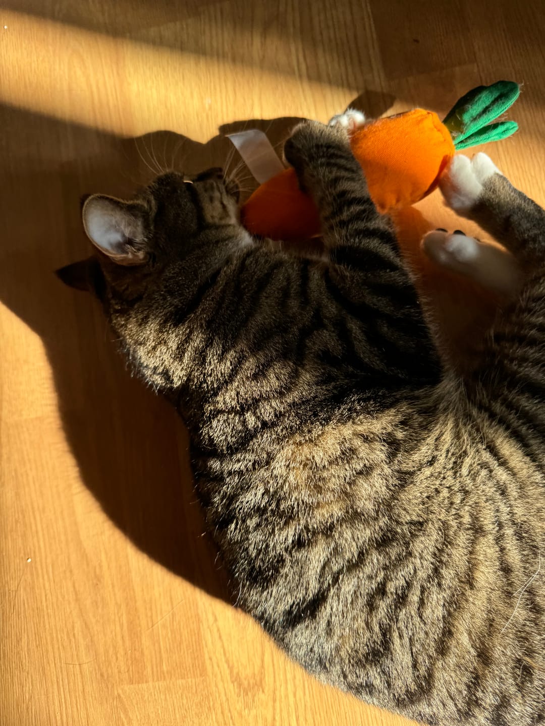 Customer photo review of Carrot toy m/ matatabi