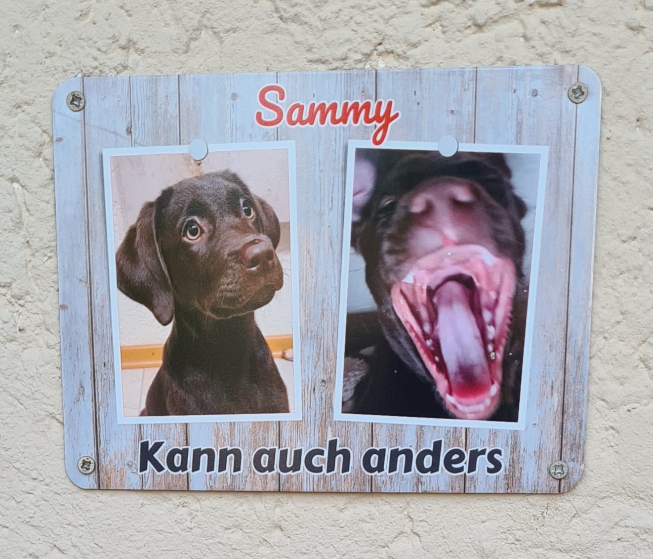 Customer photo review of Hunde-Türschild personalisiert mit Foto & Text (UV- und wetterfest)