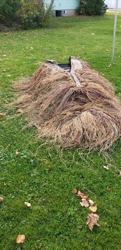 Customer photo review of Hunting Blind Raffia Grass (Individual)
