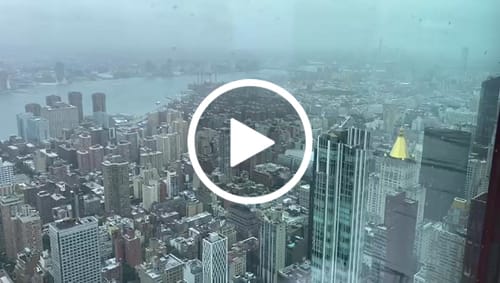 Customer video review of 1 lattina di olio extravergine di oliva • 5 Litri