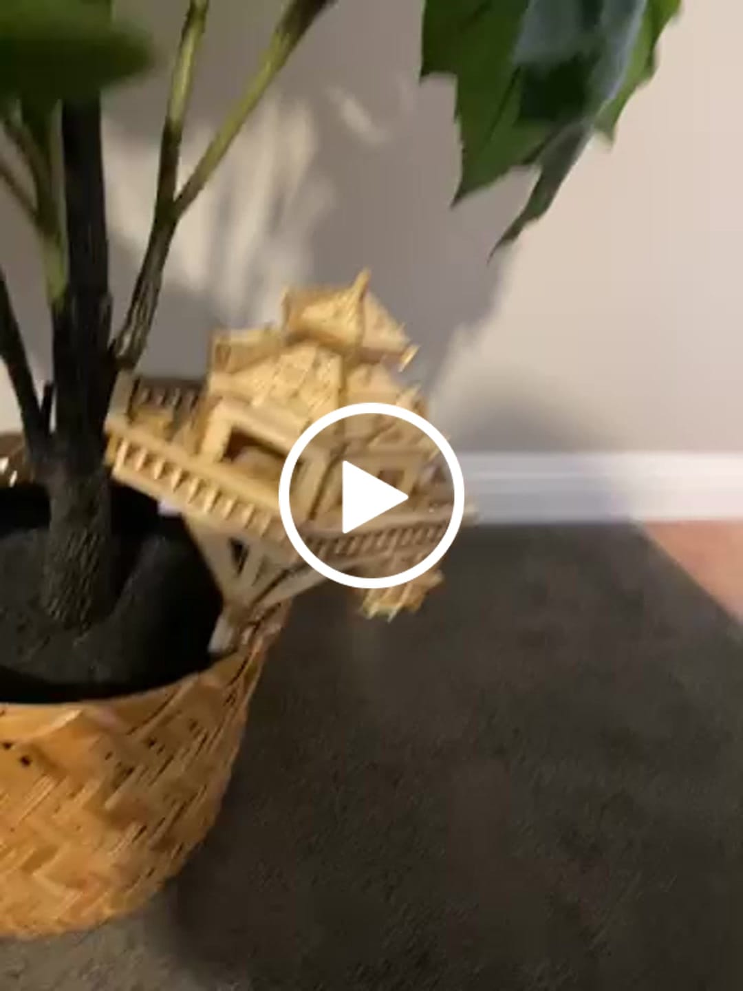 Customer video review of Woodland Outpost