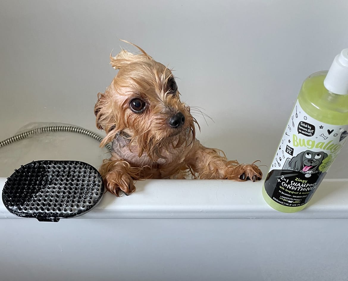 Customer photo review of Bath Brush (Black)