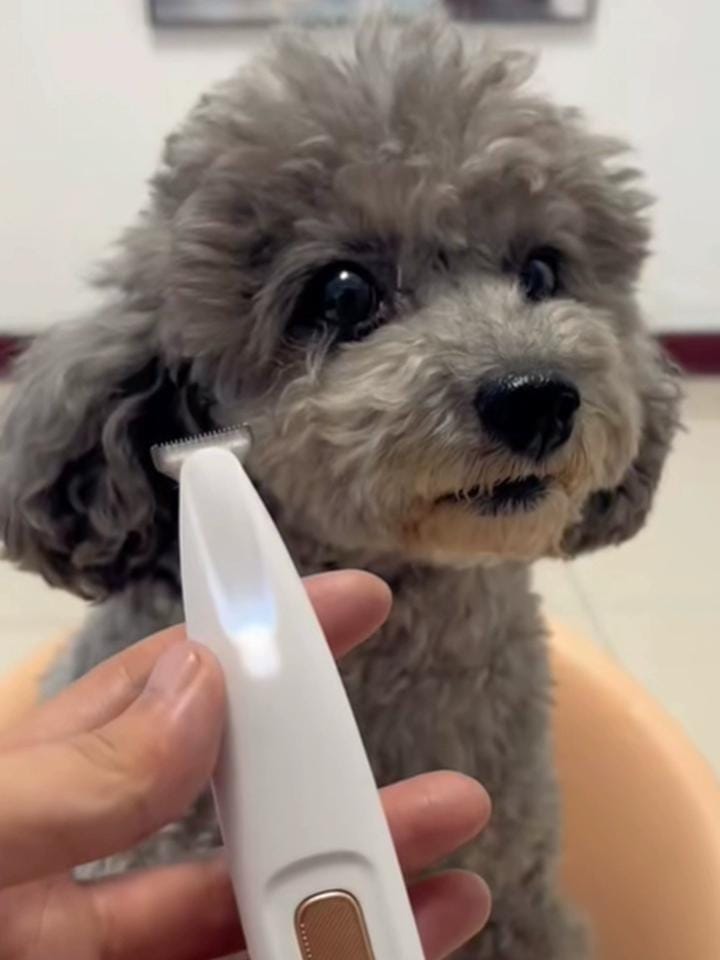 Customer photo review of HydroGuard Waterproof Paw Groomer with LED Precision