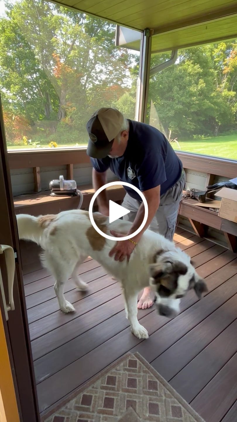 Customer video review of Carrying Case for furMe Grooming Vacuum