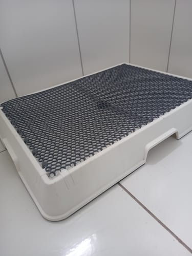 Customer photo review of Weasy Cão