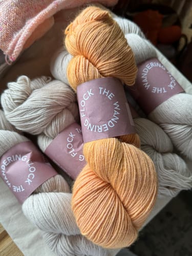 Customer photo review of Baby Paca