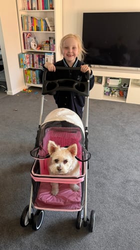 Customer photo review of Pawz Compact & Comfortable Pet Stroller