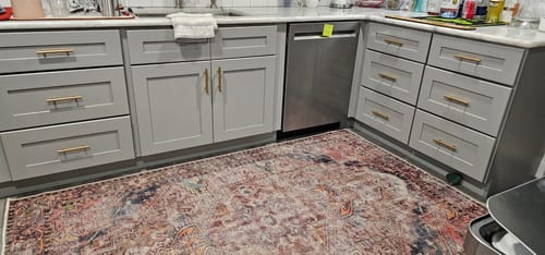 Customer photo review of Distressed Vintage Derya Area in Multicolor Rug