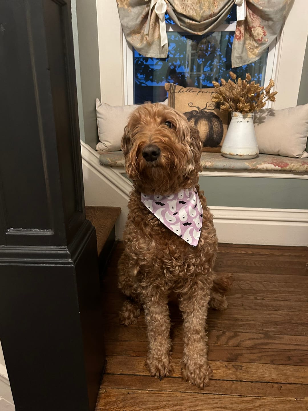 Customer photo review of Bandana Loop Through - Boo-Hoo Hun