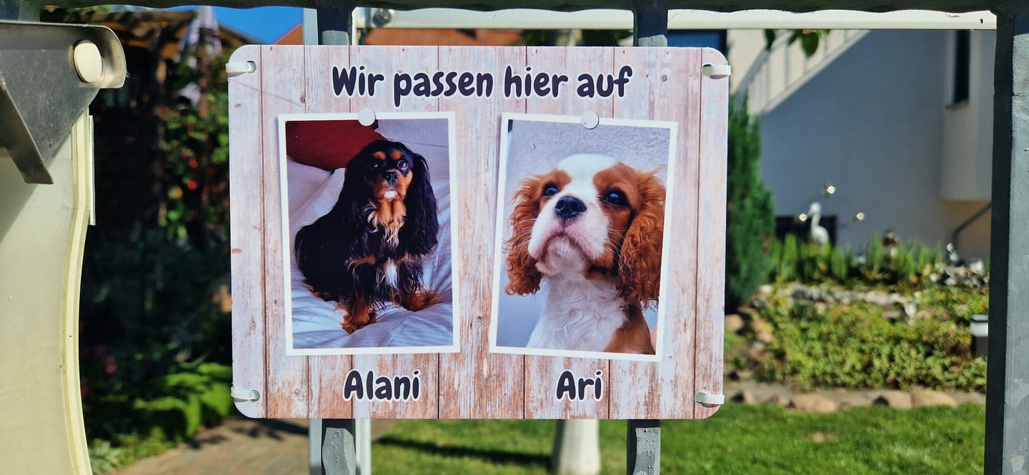Customer photo review of Hunde-Türschild personalisiert mit Foto & Text (UV- und wetterfest)