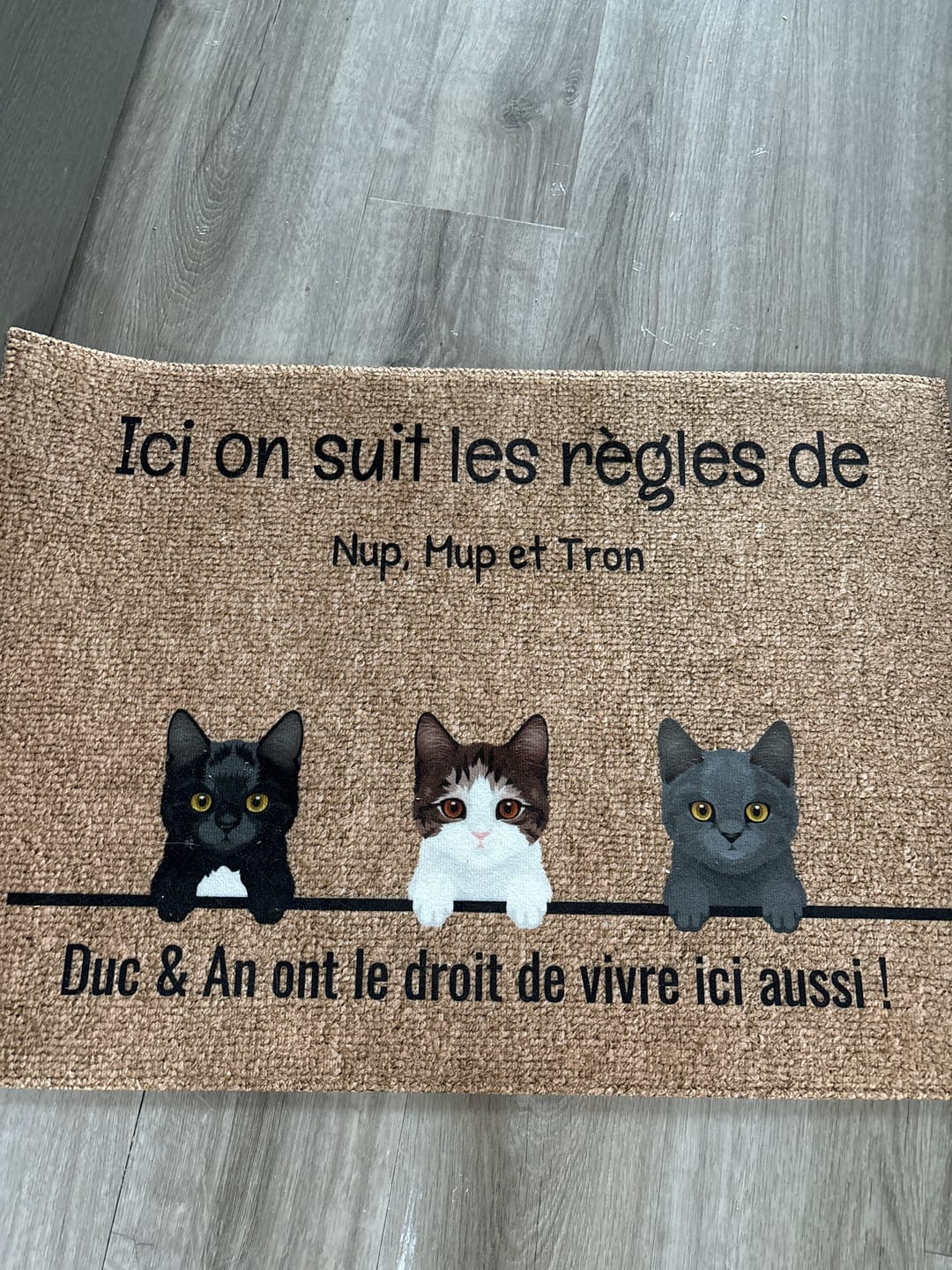 Customer photo review of Tous mes amis à poils - Paillasson personnalisé