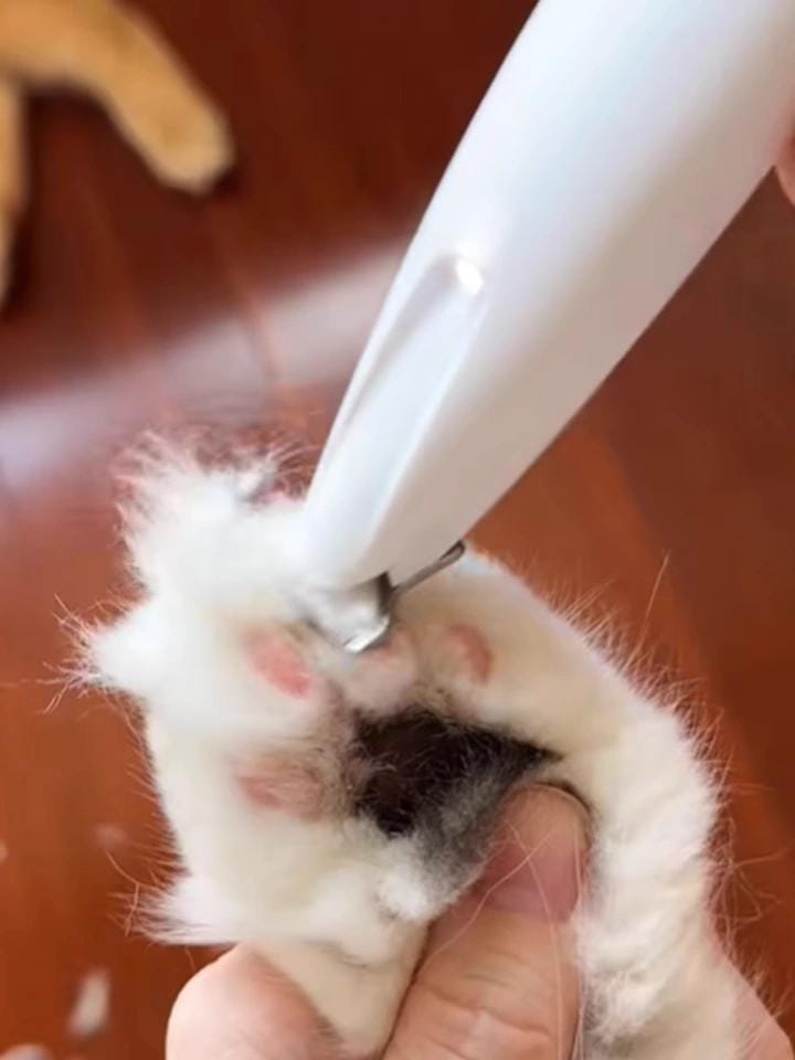 Customer photo review of HydroGuard Waterproof Paw Groomer with LED Precision