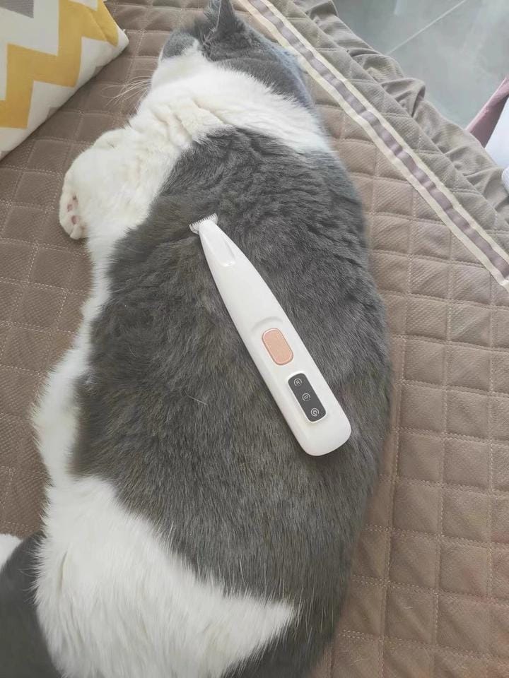 Customer photo review of HydroGuard Waterproof Paw Groomer with LED Precision