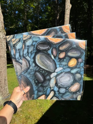 Customer photo review of 12x12 Clear Bagged Prints