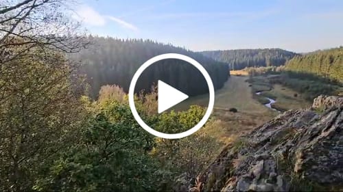 Customer video review of Rucksack mit Patch (🌲)