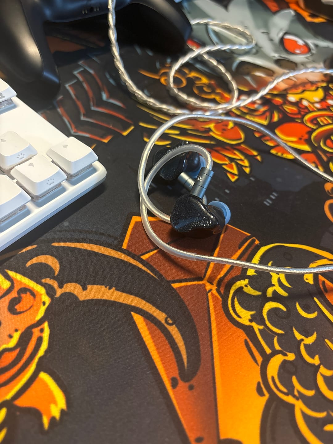 Customer photo review of Hisenior Audio Mega5-EST In-Ear Headphones