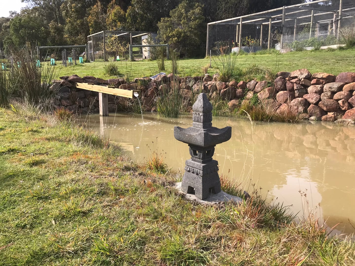 Customer photo review of Solar Fountain & Pond Pump w/ Panel & Battery - 800LPH
