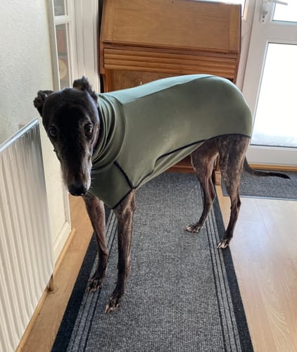 Customer photo review of Fleece Sighthound Base-Layer Coat with Underbelly and Snood