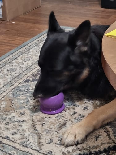 Customer photo review of Freezball - Durable Fillable Dog Chew Bone