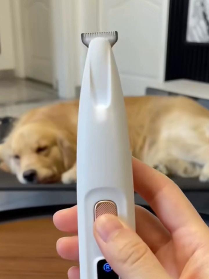 Customer photo review of HydroGuard Waterproof Paw Groomer with LED Precision