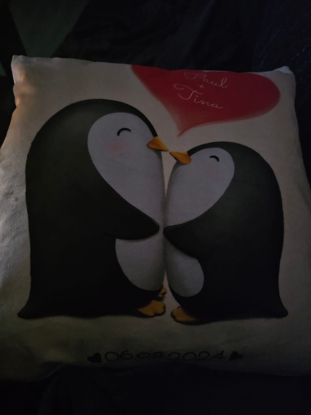 Customer photo review of Pinguinliebe - Paar-Kissen