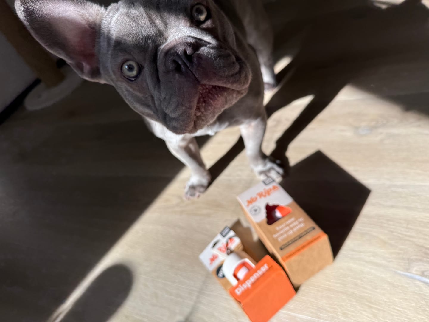 Customer photo review of Wheat Straw Dispenser + 1 Roll of No Rip Poop Bags