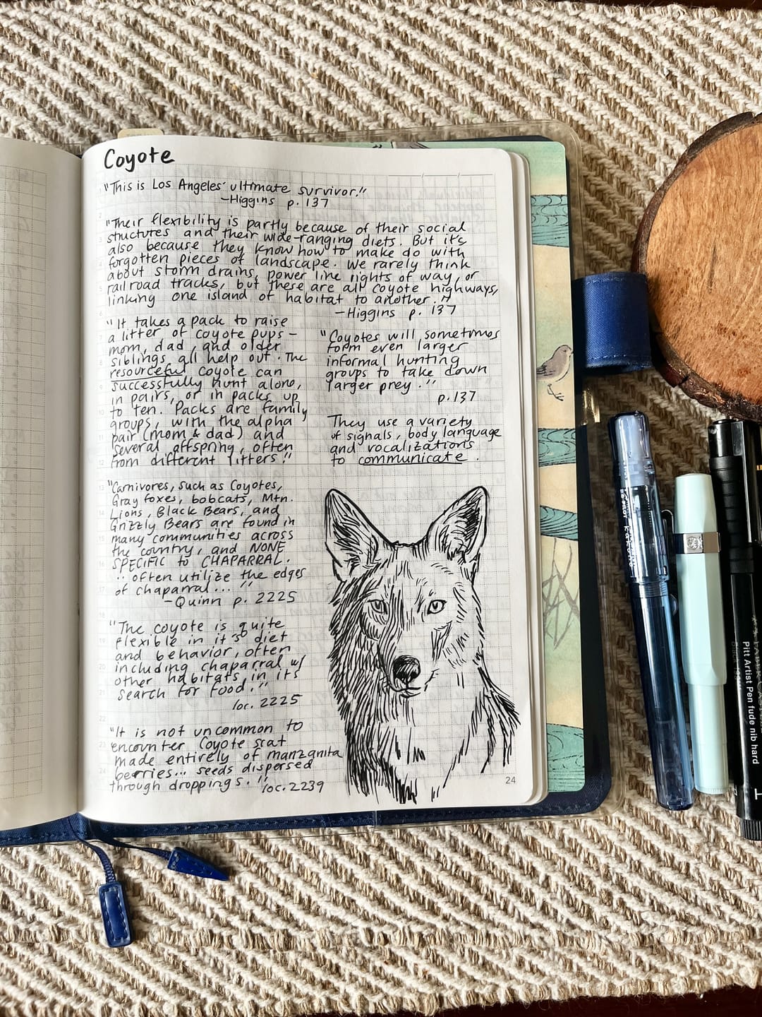 Customer photo review of A5 Notebook (368 pages) - 2024 Edition