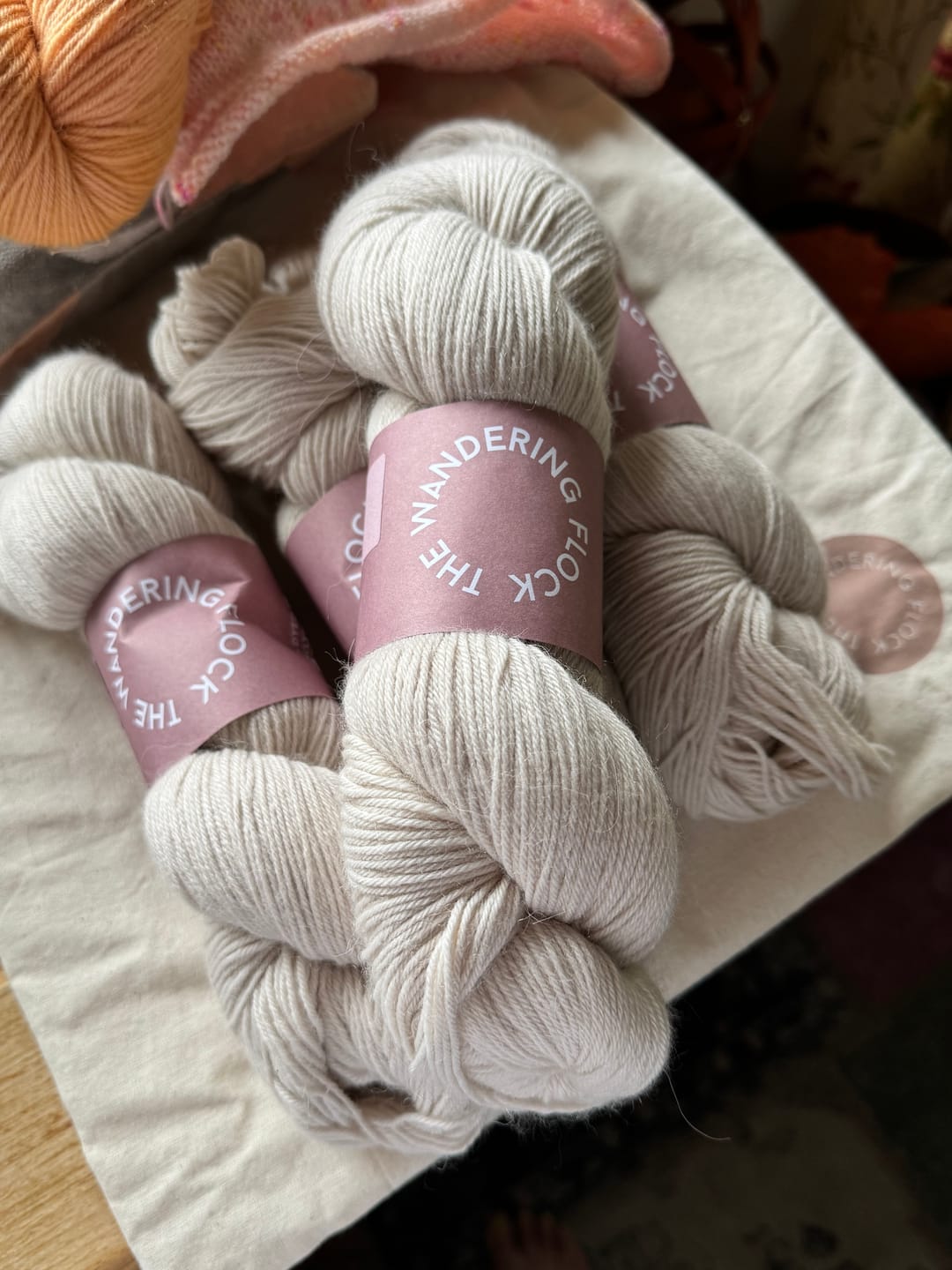 Customer photo review of Baby Paca