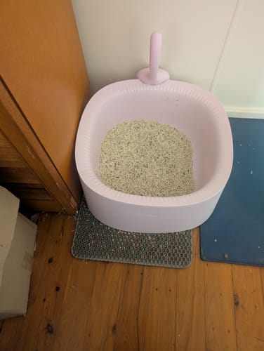 Customer photo review of Michu Macaron High Edge Open Style Extra Large Cat Litter Box